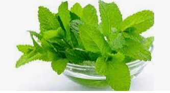 People who are not suffering from various skin problems can hardly be found. Problems with acne, blackheads, and dry skin are common. Mint leaves at hand can help you in these cases. With the help of this beneficial herb you can easily solve various skin problems. Learn about the use and effectiveness of mint leaves in skin care-