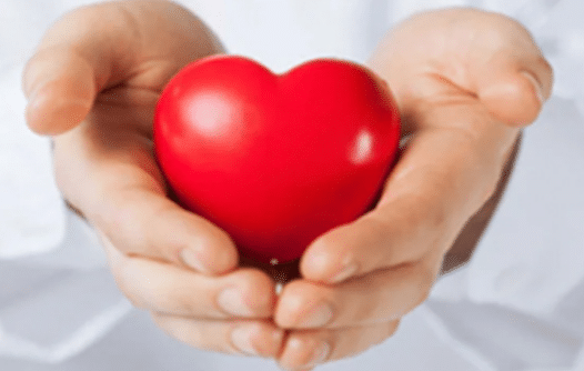 At present, heart disease or heart disease can settle in the human body from forty years or earlier.