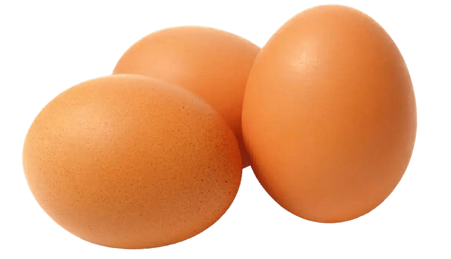 Advantages and disadvantages of duck eggs