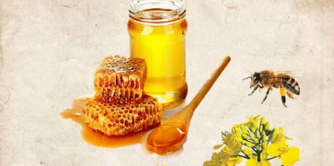 The famous Muslim physician Ibn Sina has recommended the use of honey as a cure for many diseases in
