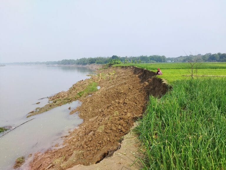 অসময়ে গড়াই নদীতে ভাঙ্গনে ফসলের ব্যাপক ক্ষতি