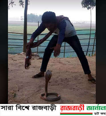 রাজবাড়ীর গোয়ালন্দ উপজেলার দৌলতদিয়া মন্ডল হ্যাচারীজ থেকে উদ্বার করা হলো বিশাল এক গোখরা সাপ। শুক্রবার( ০১ এপ্রিল) সন্ধা সাড়ে ৬ টার দিকে মন্ডল হ্যাচারীজ এর সেপ্টি ট্যাং এর ৩০ ফিট গভীর থেকে গোখরা সাপটি সুস্থ্য আবস্থায় উদ্বার করা হয়।