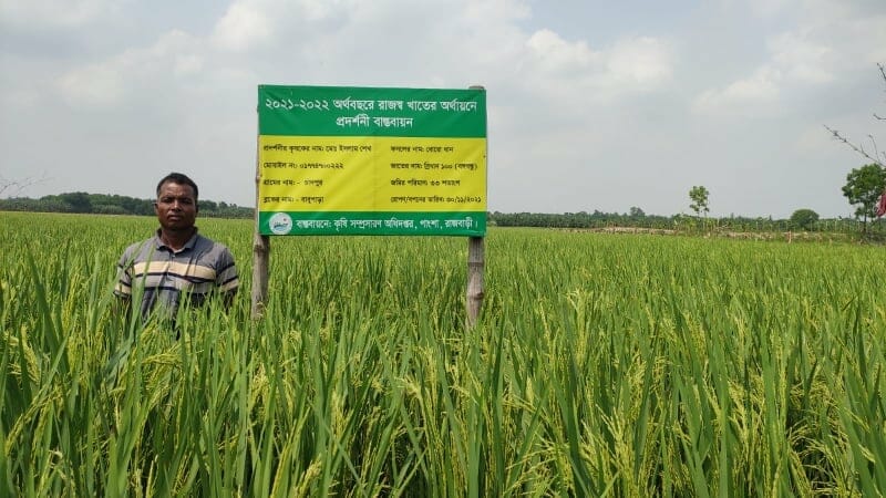 আগাম জাতের এই ধানে জিংক, প্রটিনসহ পুষ্টি উপাদান রয়েছে যা অন্য ধানের তুলনায় অনেক বেশি। এ চালের ভাত খেলে শিশুর গড় উচ্চতা, বুদ্ধিমাত্রা ও স্টেমিনা বৃদ্ধি পাবে। গর্ভবতী মায়েদের দেহের জিংকের চাহিদা পুরণ করবে। এ ধানের ভাত গ্রহণের মাধ্যমে মেধাবী প্রজন্ম গড়ে উঠবে। রাজবাড়ী জেলার পাংশা উপজেলা কৃষি কর্মকর্তা বলছেন, পুষ্টি সমৃদ্ধ এই ধান হেক্টরে ৬.৬৬ টন ফলন হয়েছে। তবে এর চেয়ে আরো বেশি হয়। কিন্তুু এ বছর আমাদের এখানে পানির সমস্যা থাকায় ফলন কম হয়েছে। উপজেলায় নতুন জাতের বঙ্গবন্ধু ধানের বাম্পর ফলনে কৃষকের মুখে হাসি ফুটিয়েছে।