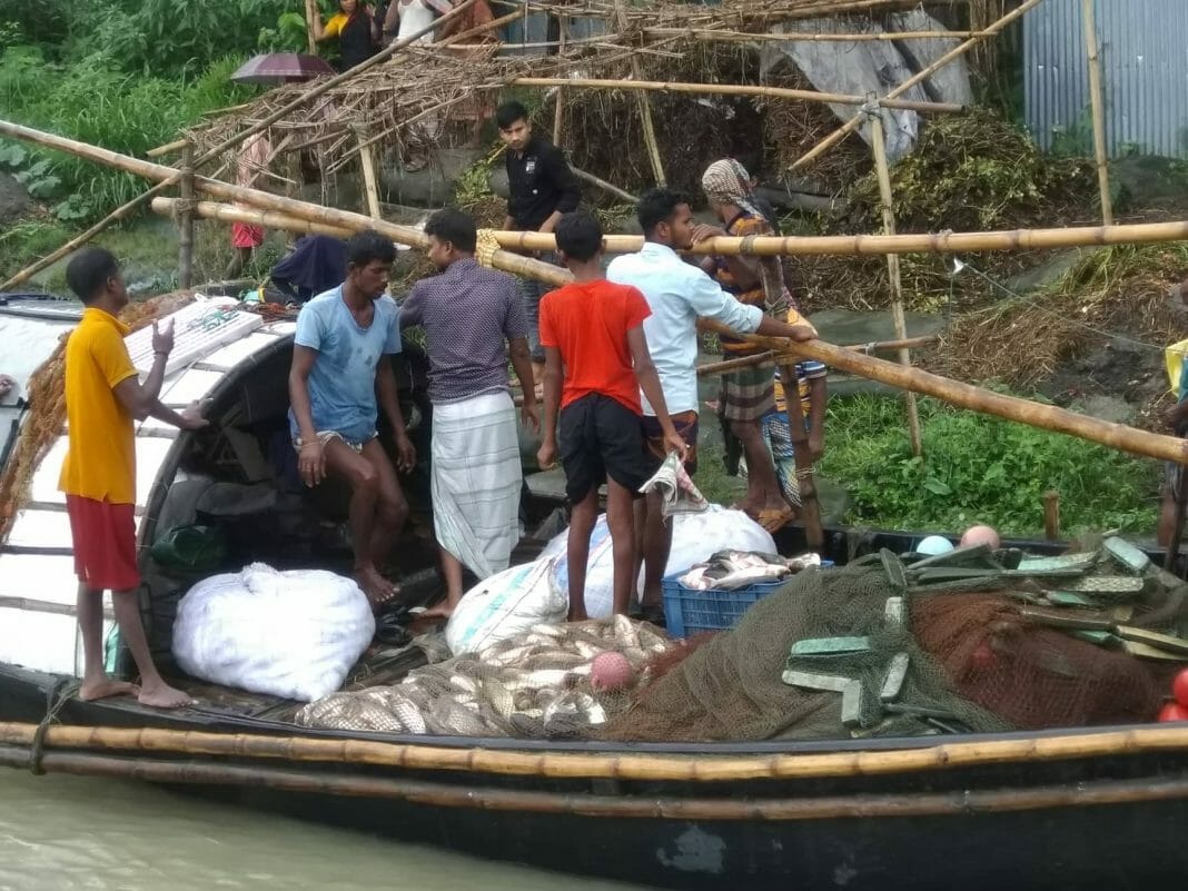 পদ্মা নদী থেকে নৌকায় ৮ মণ মাছ নিয়ে খুশিতে বাড়ী ফিরলো জেলেরা