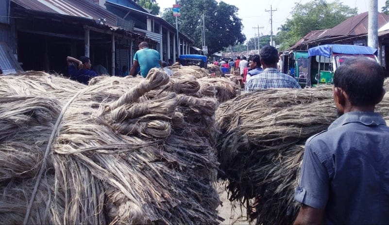 বালিয়াকানদি উপজেলা আওয়ামী যুব মহিলা লীগের সহ-সভাপতি ও পাট বাজার সংলগ্ন বাসিন্দা রোমানা কবির বলেন, পাট উৎপাদনে আমাদের বালিয়াকান্দি উপজেলা মোটামুটি এগিয়ে। এখানে গোল্ডেন ফাইবারটা ভালো হয়। কৃষকগণ আবাদ ভালো করেছেন, উৎপাদনও ভালো হয়েছে। কিন্তু পাটের জাগ দেওয়ার সমস‍্যার কারনে রং ভালো আসেনি। যে কারনেই চাষি পর্যায়ে দাম ভালো পাচ্ছেন না। এতে শুধু চাষি নন, পাটের সাথে সম্পৃক্ত (ব‍্যবসায়ী, মিল, কারখানা) সবাই আর্থিক ক্ষতির মূখে পড়বে। বিশেষ করে পাটের সোনালী আঁশ এবছেরে পানি সংকটের কারণে না পাওয়া যাওয়ায় এসকল সমস‍্যার সম্মুখীন হতে হচ্ছে।