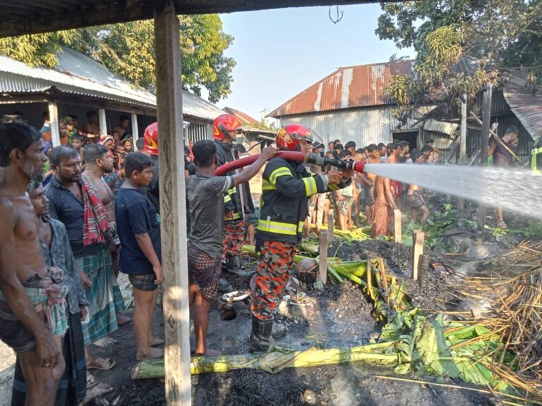 রান্না ঘরের চুলা থেকে অগ্নিকান্ডে সূত্রপাত ঘটে। তাদের ডাক চিৎকারে এলাকার লোকজন এগিয়ে এসে আগুন নিবাতে চেষ্টা করে কিন্তু মহুুর্তের মধ্যে আগুন ছড়িয়ে পড়ে এতে কাচাটিনের ছাপড়াঘর, রান্না ঘর ও চৌচালা ঘর পুড়ে ছাই হয়ে যায়।পরে ফায়ার সার্ভিস এসে আগুন নিয়ন্ত্রণে আনে।