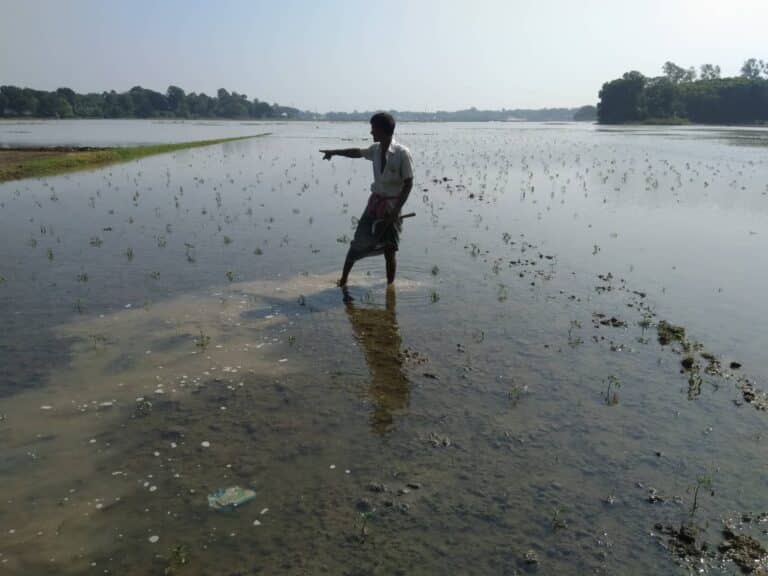 গোয়ালন্দ উপজেলা পানি উন্নয়ন বোর্ডের ছালমা আক্তার বলেন, গত ২৪ ঘন্টায় নদী পানি বৃদ্ধি পেয়েছে ৪ সেন্টিমিটার। তিনি আরো বলেন এরকম অসময়ে নদীতে পানি বৃদ্ধি পায় আগে কখনো দেখিনি। এপানিতে কৃষকের অনেক ক্ষতি হয়ে যাচ্ছে। গোয়ালন্দ উপজেলা কৃষি অফিসার মো. খোকনুজ্জামান বলেন, উপজেলার ফসলি জমি পানিতে ক্ষতি হয়েছে ১৬ তারিখ পর্যন্ত ১৮৫ হেক্টর। আরো ফসলি জমির ক্ষয়ক্ষতির পরিমান জরিপ করা হচ্ছে ।