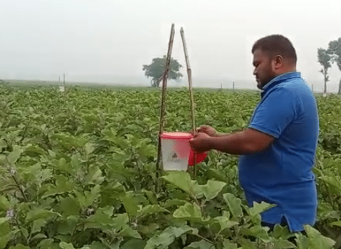 গোয়ালন্দ উপজেলা কৃষি কর্মকর্তা মো. খোকন উজ্জামান বলেন, হুমায়ন আহমেদ অন্যদের আইডল। তার সফলতার পিছনে রয়েছে সততা এবং সঠিক লক্ষ্য।