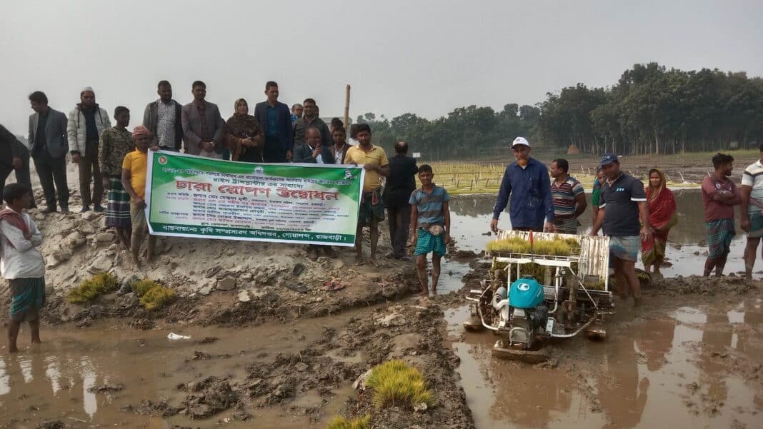 কৃষি ফলন বাড়াতে রাজবাড়ীর গোয়ালন্দে সমলয় পদ্ধতিতে ট্রান্সপ্লান্ট মেশিনের মাধ্যমে জমিতে বোরো ধান রোপন কার্যক্রম উদ্বোধন করা হয়েছে।