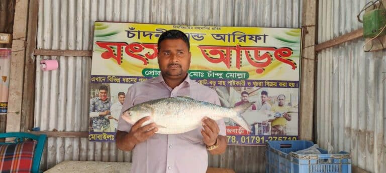 পদ্মা নদীতে জেলের জালে ধরা পড়লো বড় একটি রুপালী ইলিশ মাছ। মাছটির ওজন ১ কেজি ৯ শত গ্রাম। মাছটি বিক্রি হয়েছে ৬ হাজার ৪ শত ৬০ টাকায়।