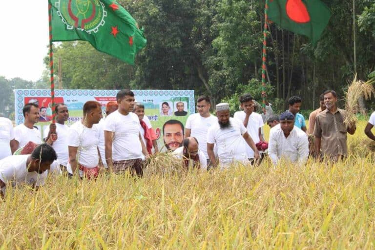 বাংলাদেশ কৃষক লীগের কেন্দ্রীয় কমিটির সাংগঠনিক সম্পাদক ও ঢাকাস্থ রাজবাড়ী জেলা সাংবাদিক সমিতি সভাপতি নুরে আলম সিদ্দিকী হক এর নেতৃত্বে রাজবাড়ীতে এক কৃষকের এক একর জমির ধান কেটে ঝাড়াই-মাড়াই করে গোলায় তুলে দিয়েছে কৃষক লীগ।