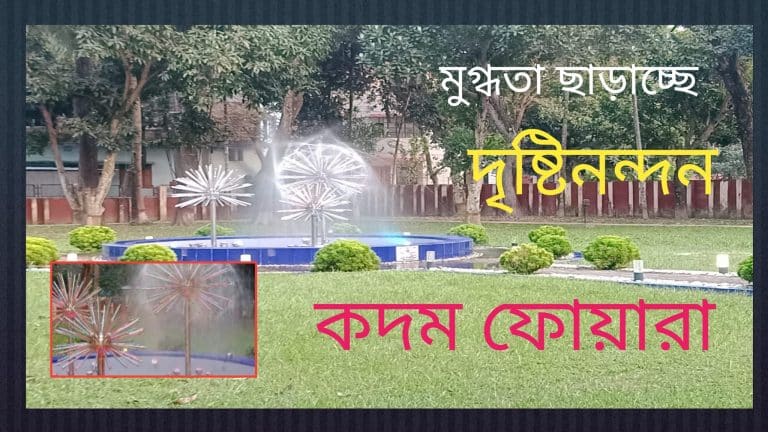 পুলিশ সুপারের কার্যালয়ের সামনে মুগ্ধতা ছড়াচ্ছা দৃষ্টিনন্দন কদম ফোয়ারা