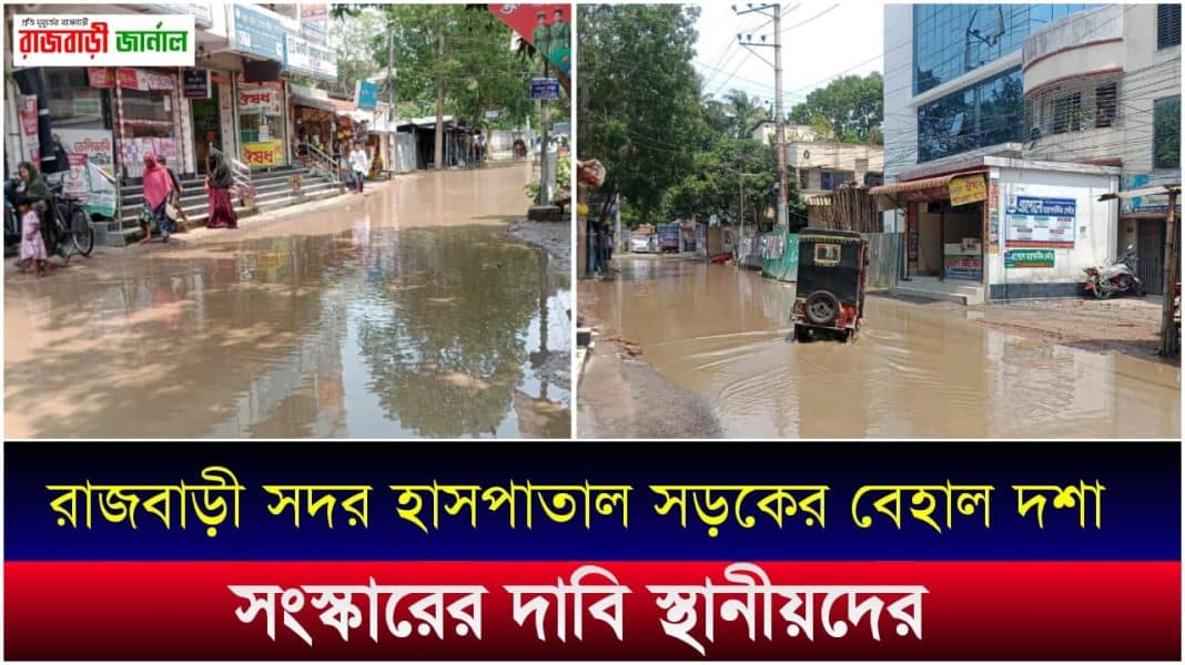 রাজবাড়ী সদর হাসপাতাল সড়কের বেহাল দশা - সংস্কারের দাবি স্থানীয়দের